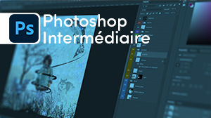 Photoshop - Intermédiaire en elearning