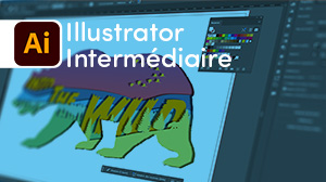 Illustrator - Intermédiaire en elearning
